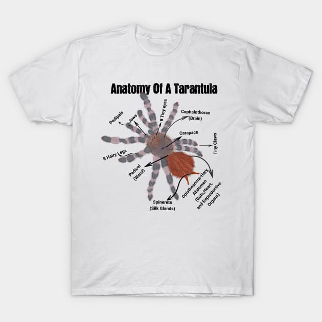 Anatomy of a Tarantula T-Shirt by DaysMoon